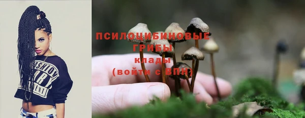 прущие грибы Арсеньев