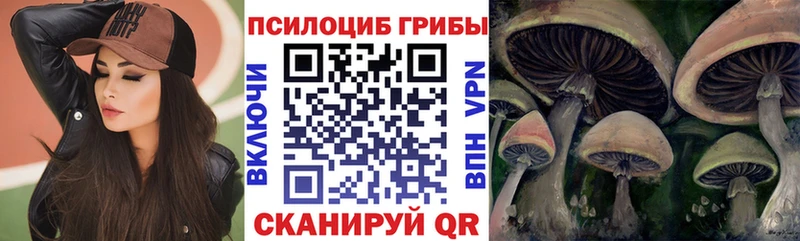 Псилоцибиновые грибы Cubensis  Малоярославец 